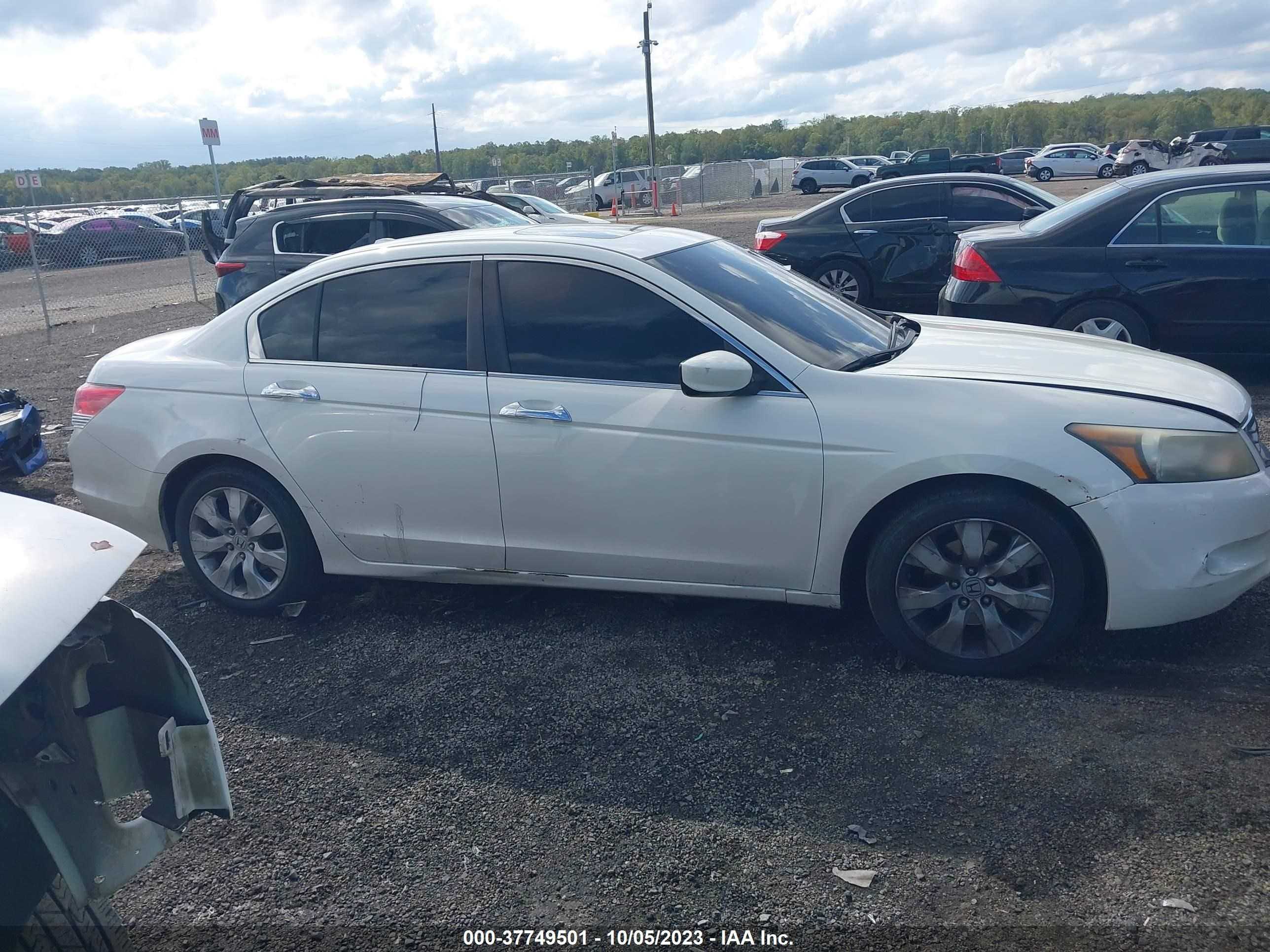 Photo 12 VIN: 1HGCP3F8XAA032202 - HONDA ACCORD 