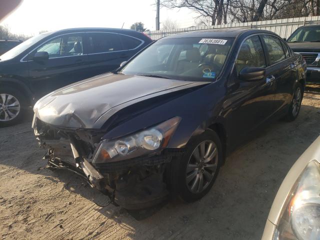 Photo 1 VIN: 1HGCP3F8XBA022559 - HONDA ACCORD EXL 