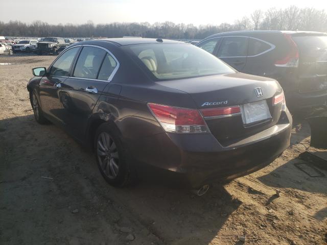 Photo 2 VIN: 1HGCP3F8XBA022559 - HONDA ACCORD EXL 