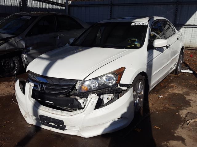 Photo 1 VIN: 1HGCP3F8XBA025638 - HONDA ACCORD EXL 