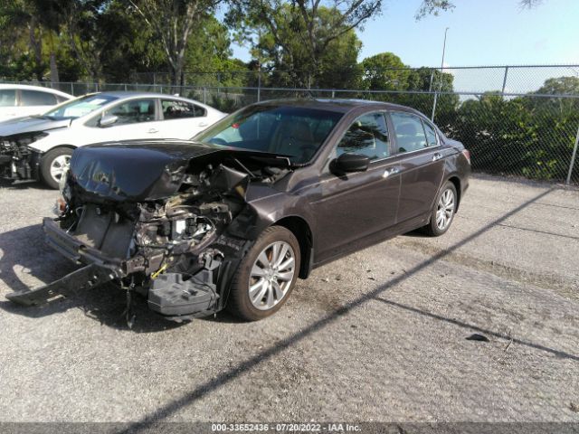 Photo 1 VIN: 1HGCP3F8XBA025798 - HONDA ACCORD EXL 