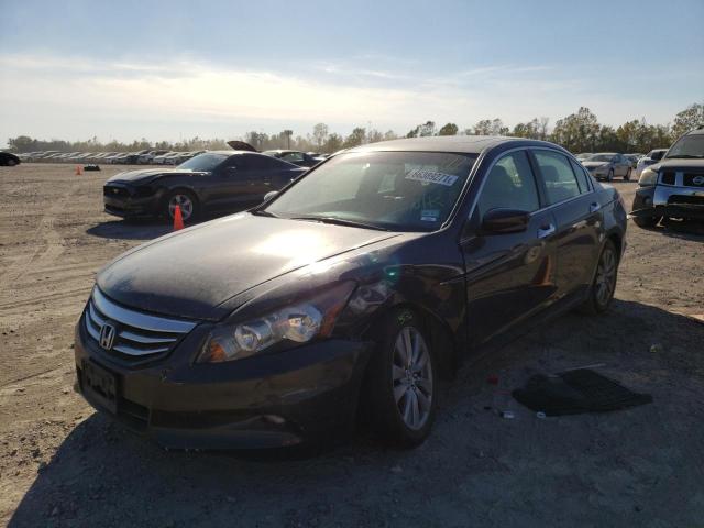 Photo 1 VIN: 1HGCP3F8XBA026997 - HONDA ACCORD EXL 