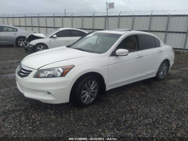 Photo 1 VIN: 1HGCP3F8XBA027826 - HONDA ACCORD SDN 