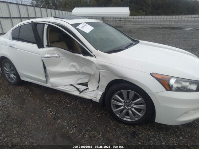 Photo 5 VIN: 1HGCP3F8XBA027826 - HONDA ACCORD SDN 