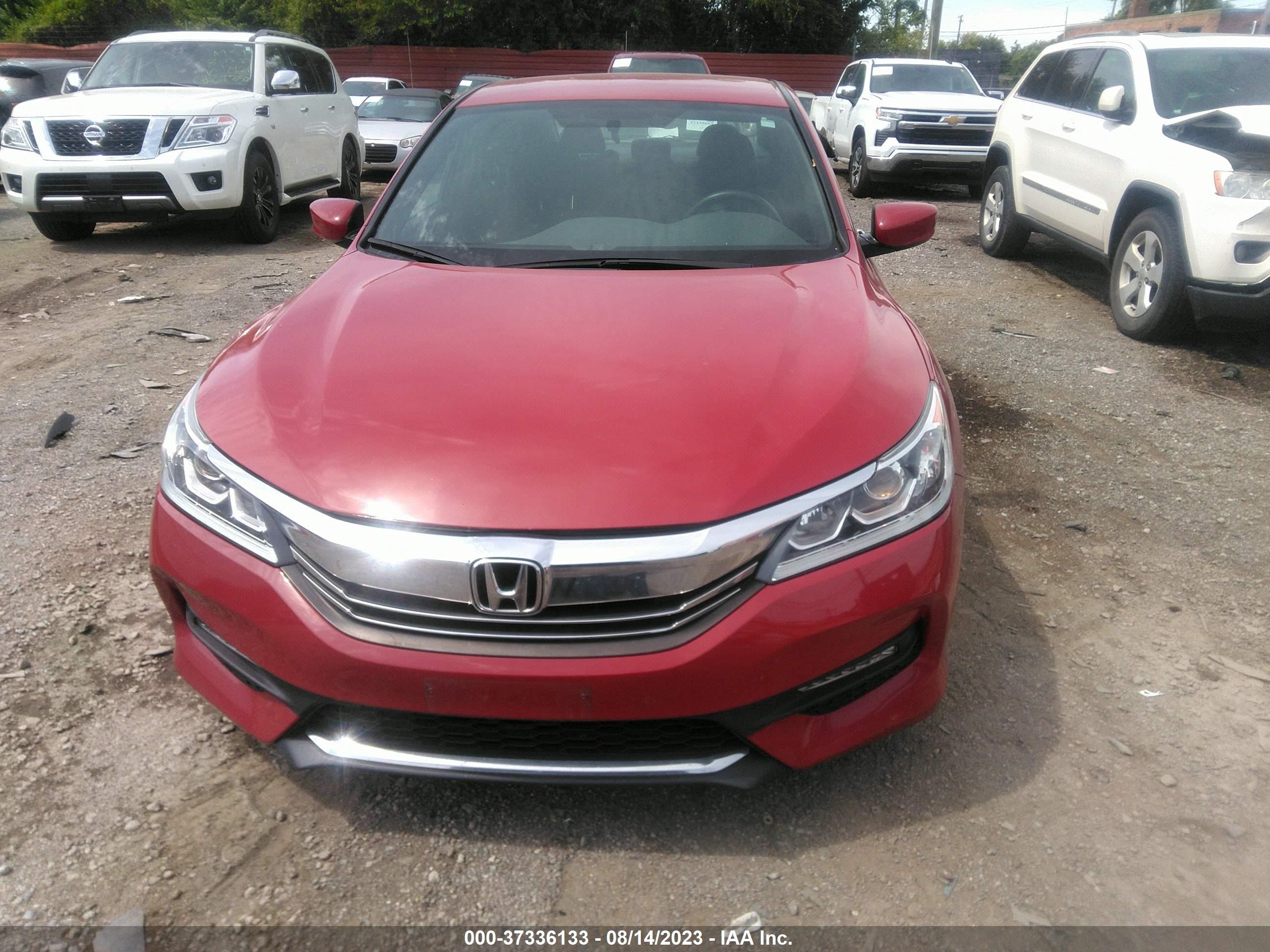 Photo 11 VIN: 1HGCR2E10HA062067 - HONDA ACCORD 