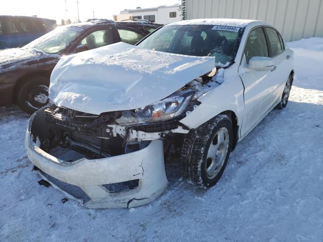 Photo 1 VIN: 1HGCR2E51EA811828 - HONDA ACCORD SPO 