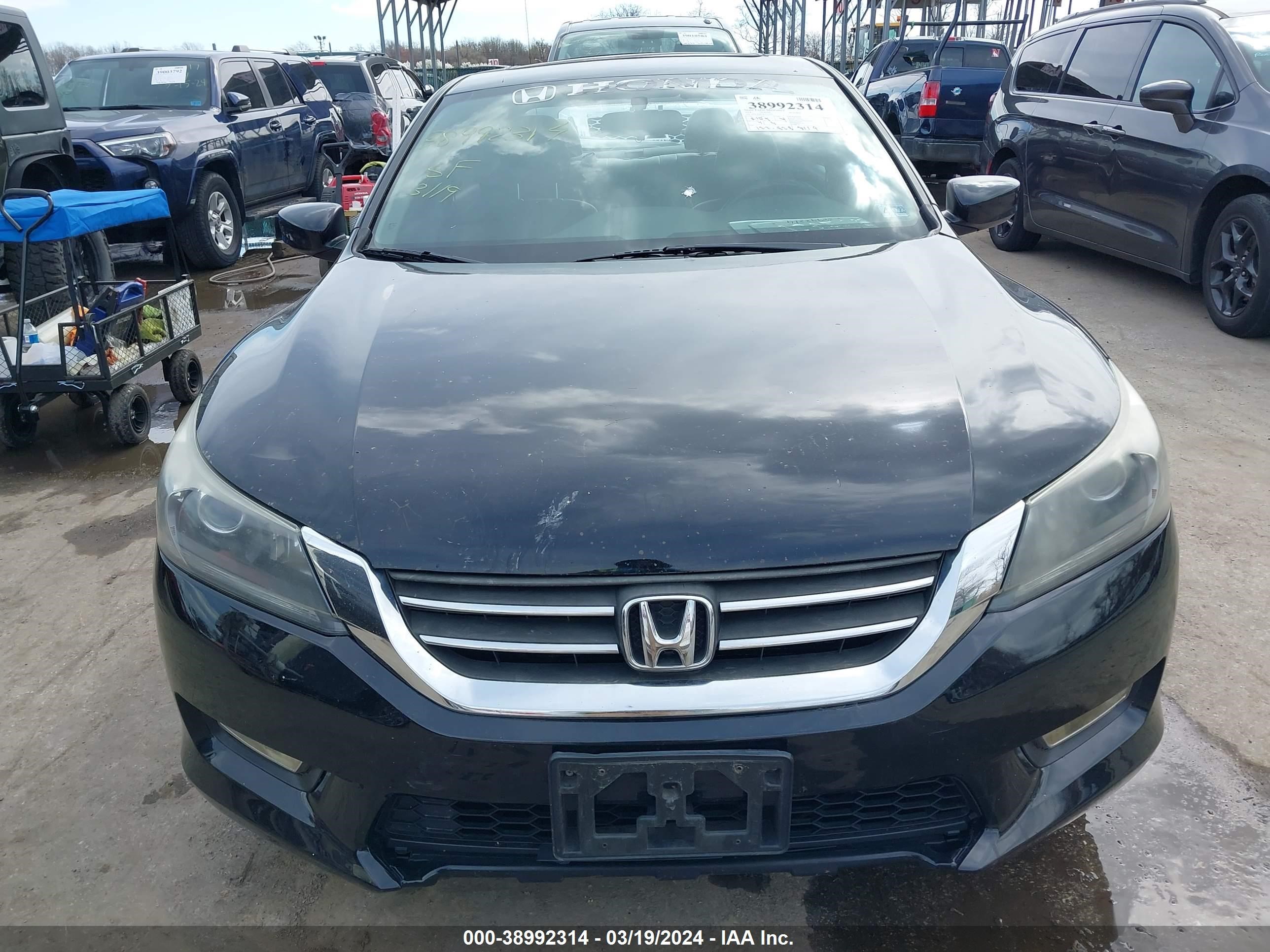 Photo 11 VIN: 1HGCR2E54EA272671 - HONDA ACCORD 