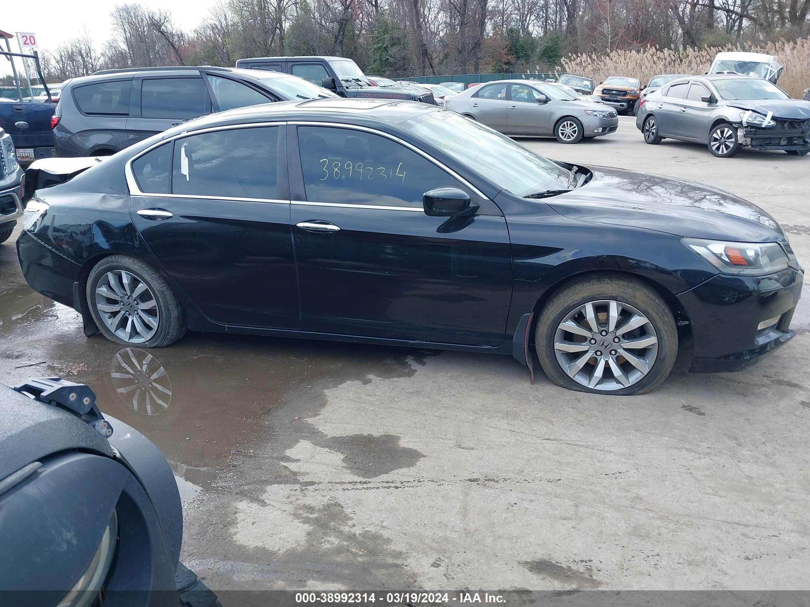 Photo 12 VIN: 1HGCR2E54EA272671 - HONDA ACCORD 