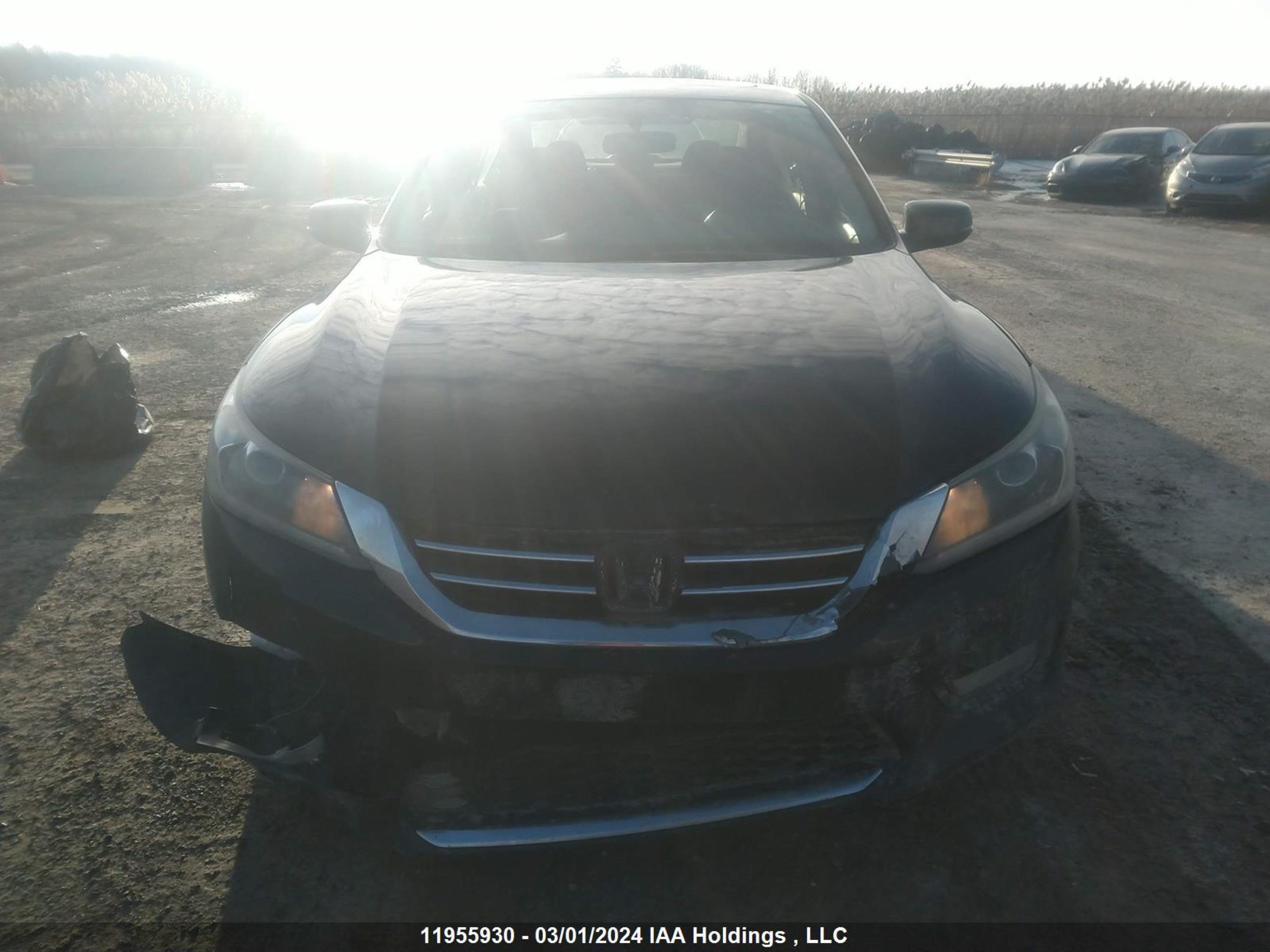 Photo 11 VIN: 1HGCR2E54FA808150 - HONDA ACCORD 