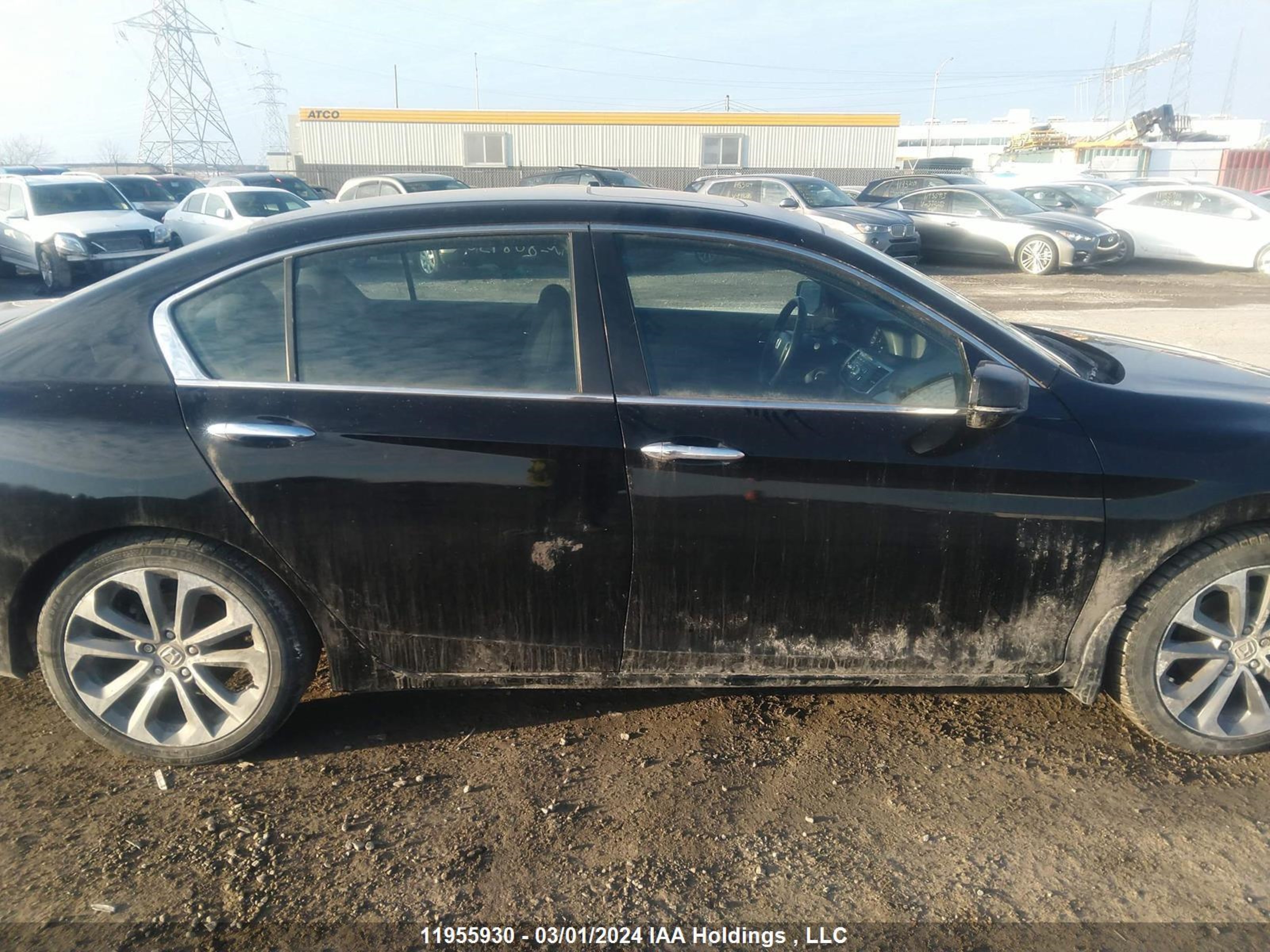 Photo 12 VIN: 1HGCR2E54FA808150 - HONDA ACCORD 