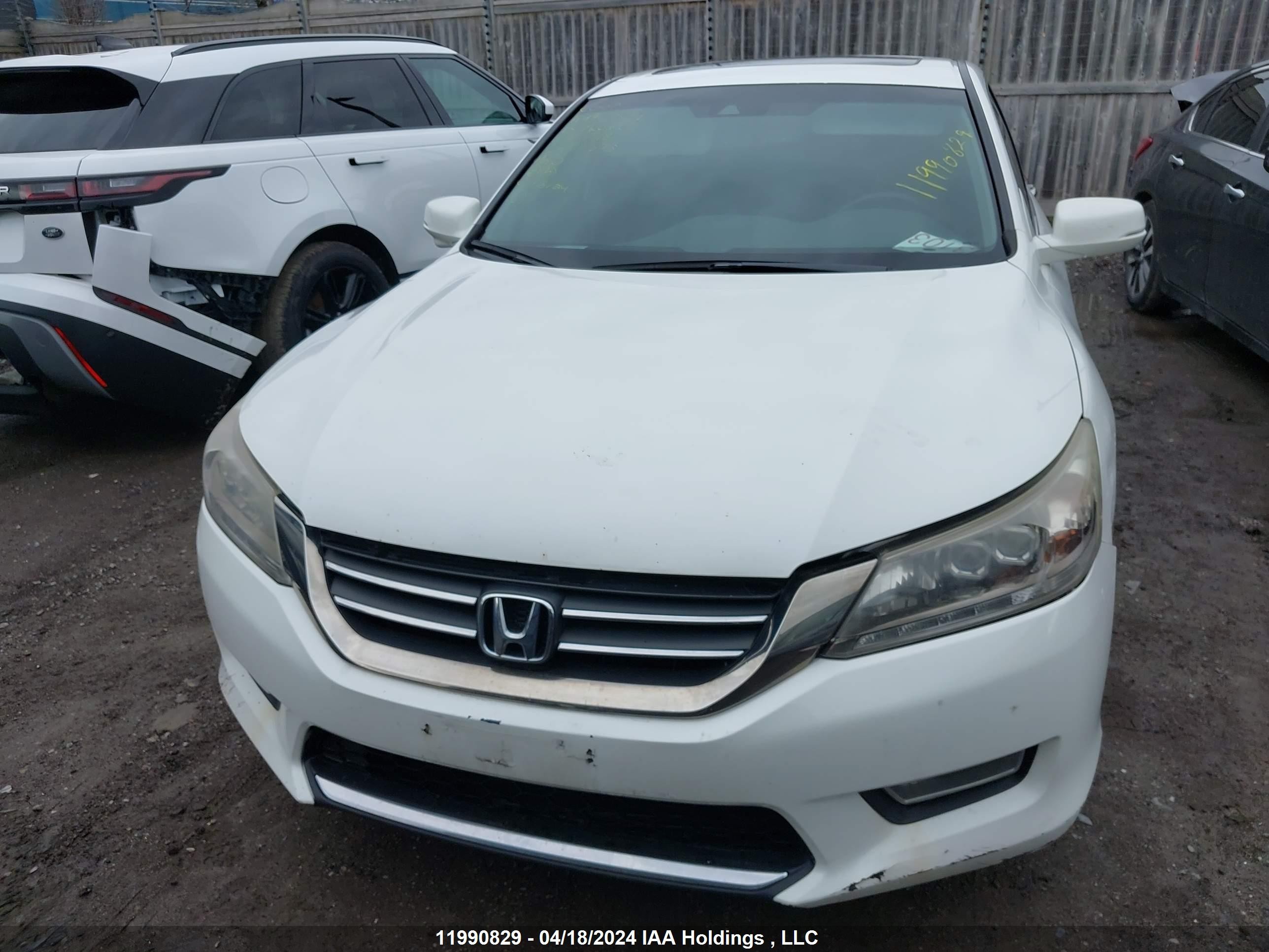 Photo 11 VIN: 1HGCR2E91DA804198 - HONDA ACCORD 