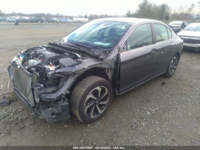 Photo 1 VIN: 1HGCR2F08GA010562 - HONDA ACCORD SEDAN 