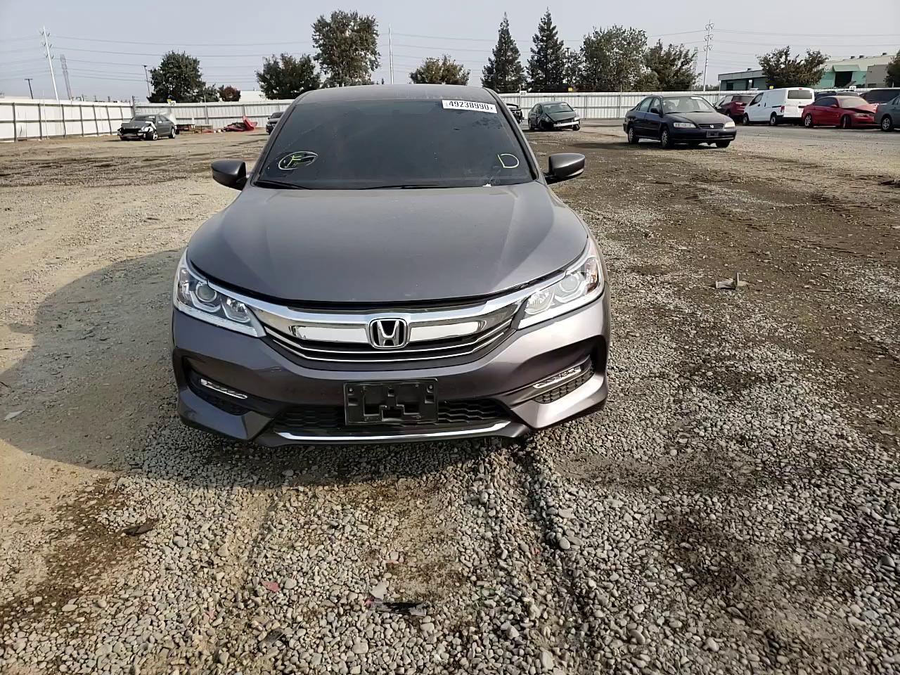 Photo 10 VIN: 1HGCR2F12HA137639 - HONDA ACCORD SPO 