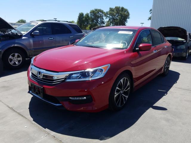 Photo 1 VIN: 1HGCR2F13HA042054 - HONDA ACCORD SPO 