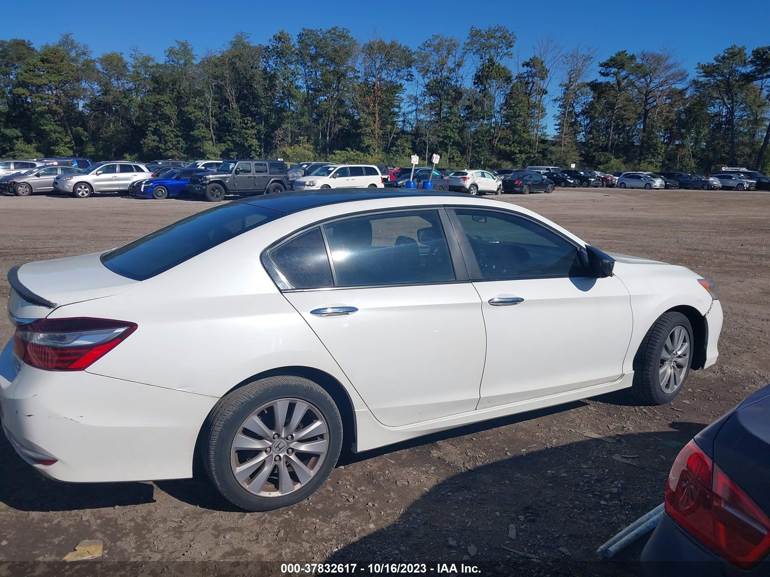 Photo 12 VIN: 1HGCR2F13HA044452 - HONDA ACCORD 