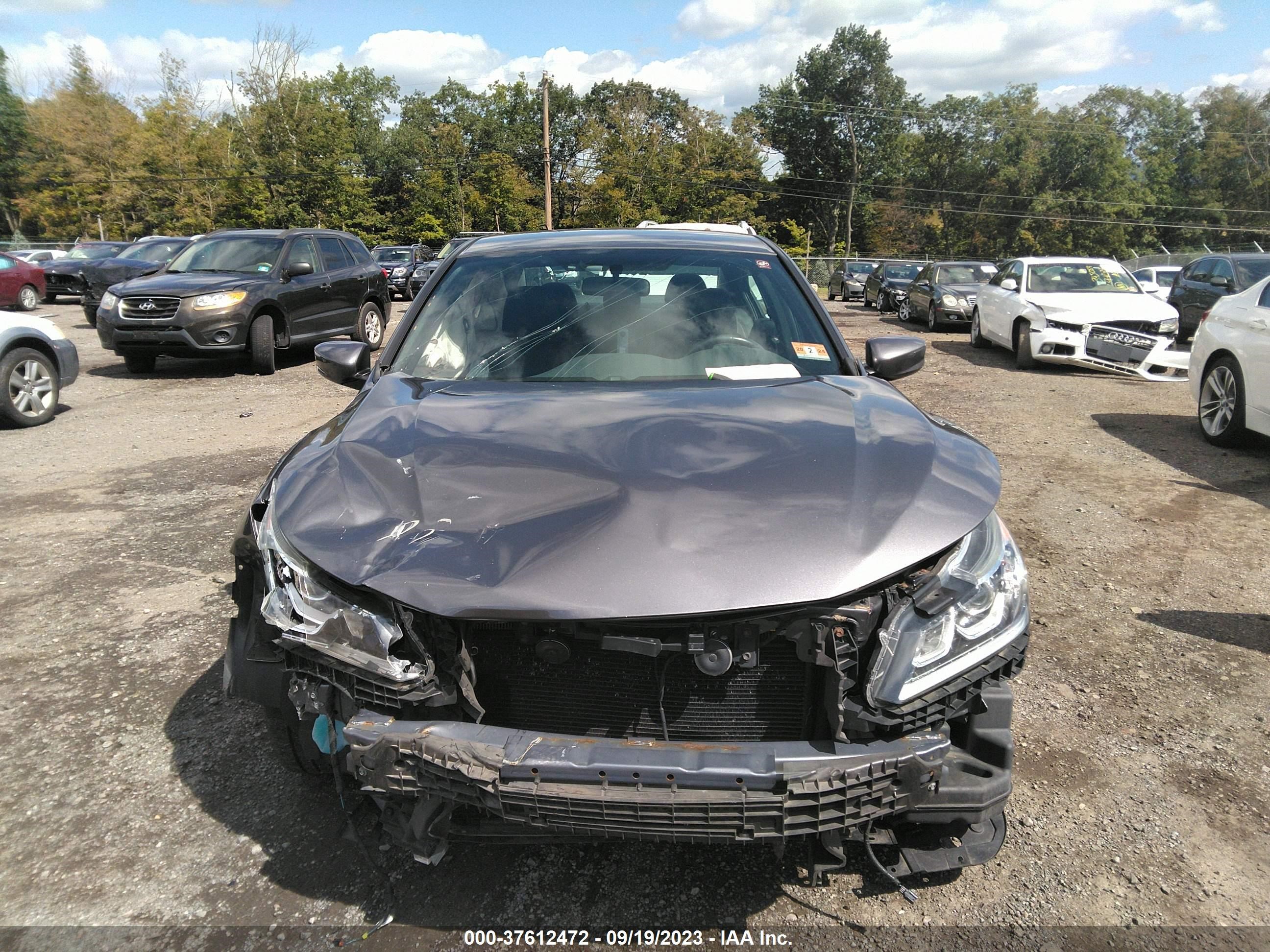 Photo 11 VIN: 1HGCR2F13HA160007 - HONDA ACCORD 