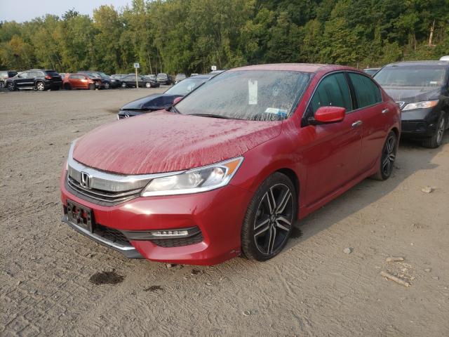 Photo 1 VIN: 1HGCR2F15HA079946 - HONDA ACCORD SPO 