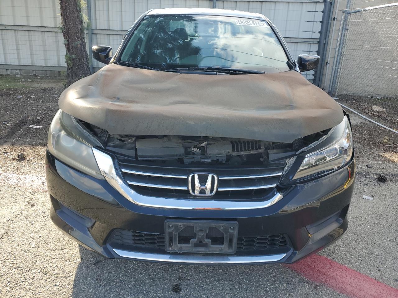 Photo 4 VIN: 1HGCR2F30EA164562 - HONDA ACCORD 