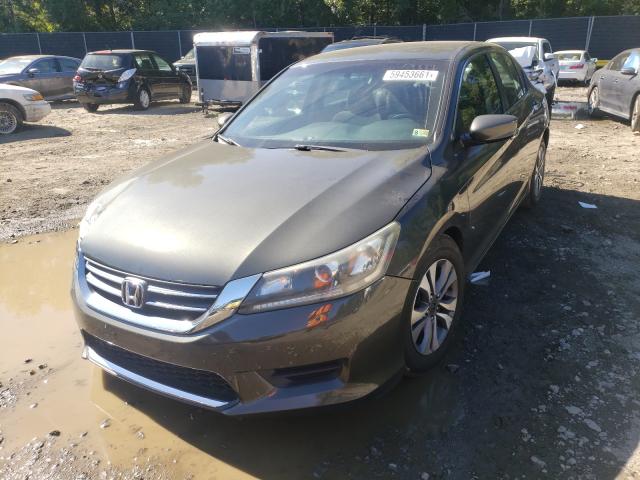 Photo 1 VIN: 1HGCR2F31DA028049 - HONDA ACCORD 