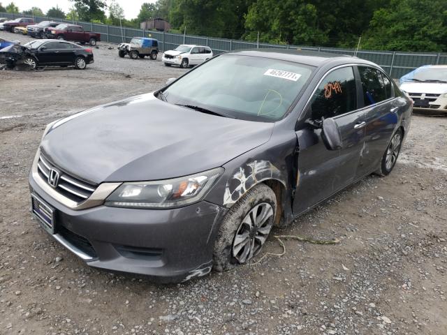 Photo 1 VIN: 1HGCR2F31DA043361 - HONDA ACCORD LX 