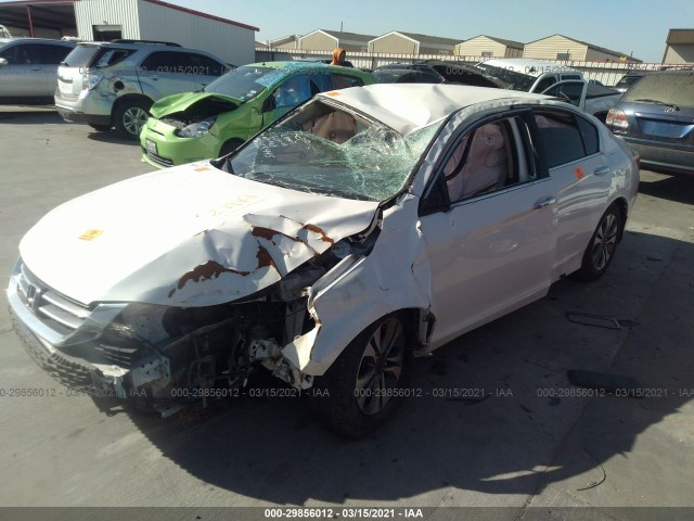 Photo 1 VIN: 1HGCR2F31DA055445 - HONDA ACCORD SDN 