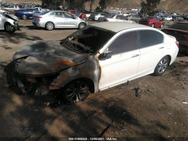 Photo 1 VIN: 1HGCR2F31DA161491 - HONDA ACCORD SDN 