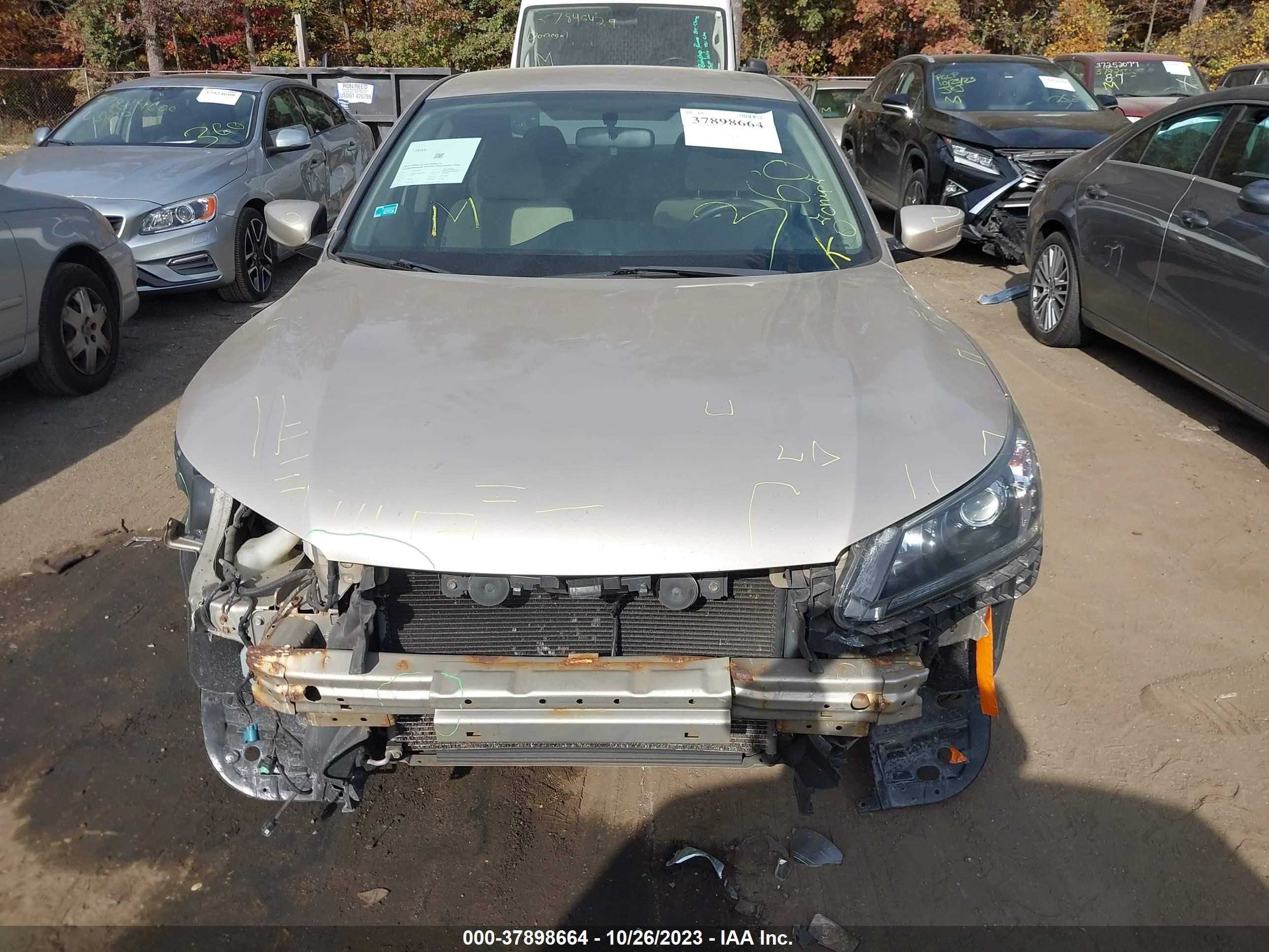 Photo 11 VIN: 1HGCR2F31DA283493 - HONDA ACCORD 