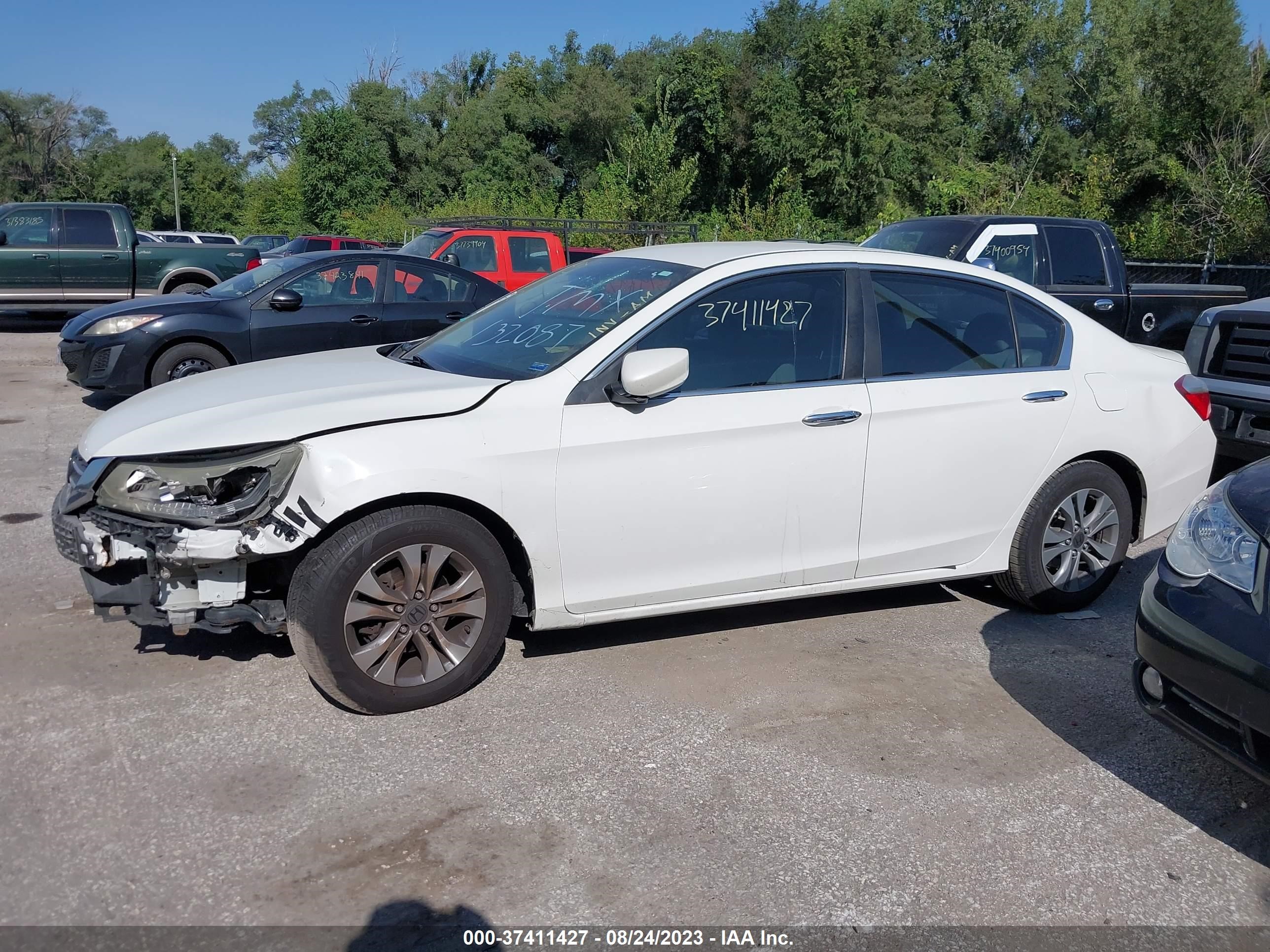 Photo 13 VIN: 1HGCR2F31EA132087 - HONDA ACCORD 