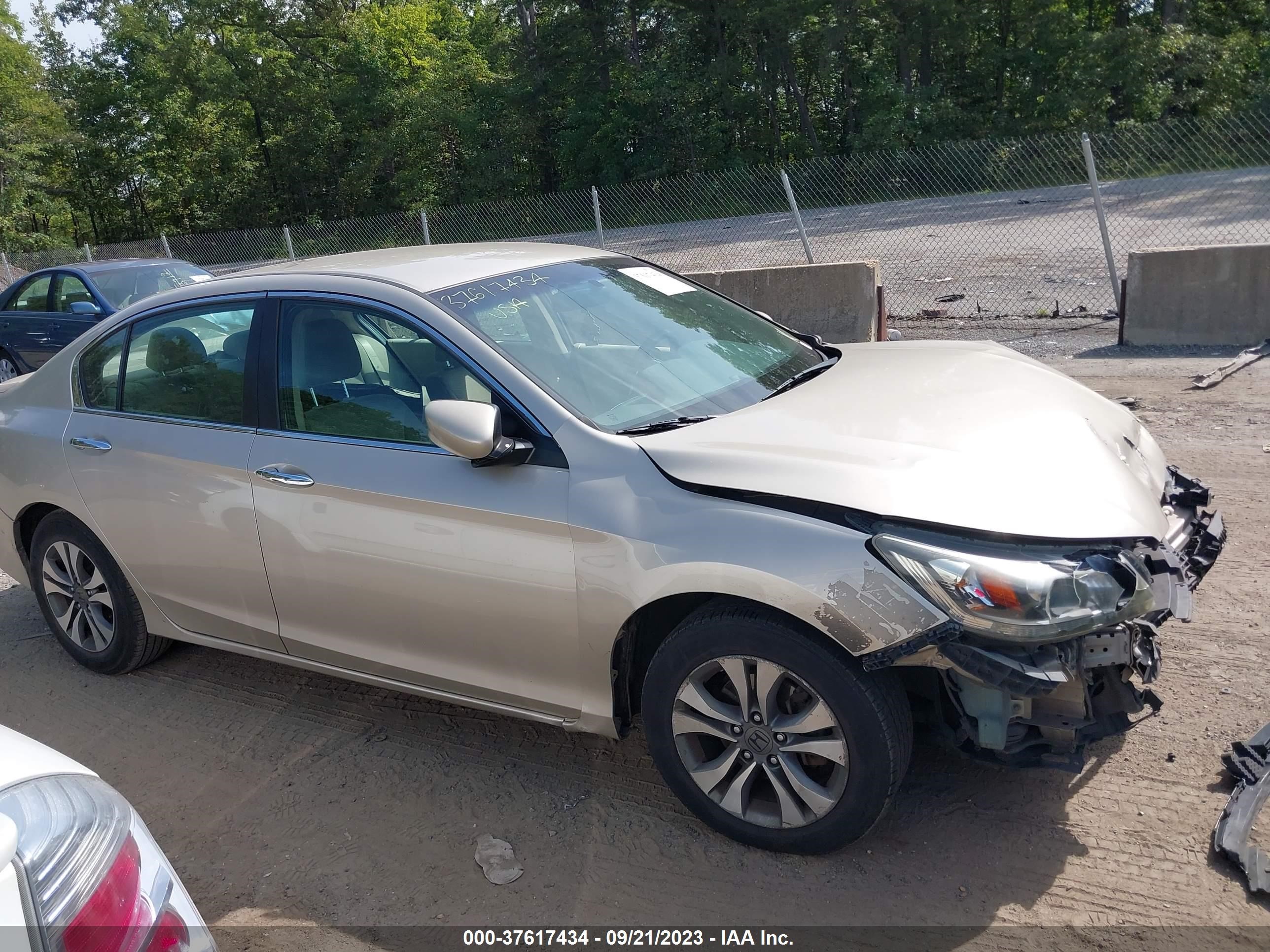 Photo 12 VIN: 1HGCR2F31FA240808 - HONDA ACCORD 