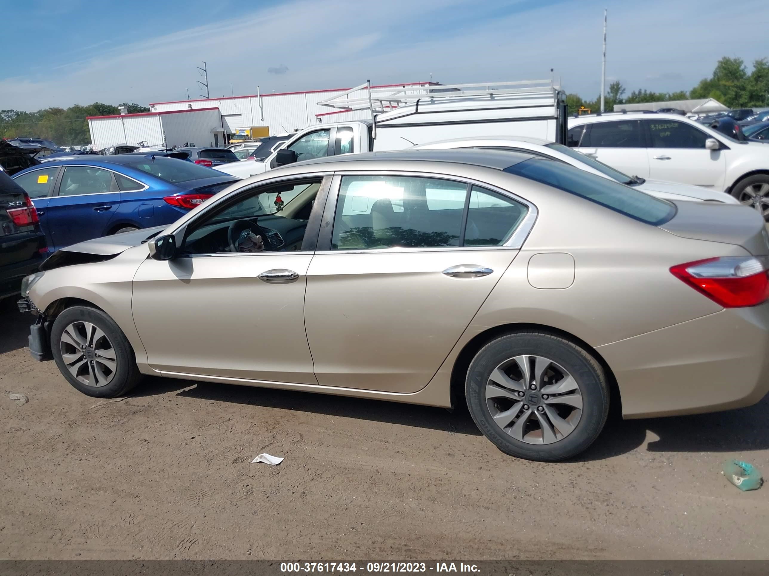 Photo 13 VIN: 1HGCR2F31FA240808 - HONDA ACCORD 