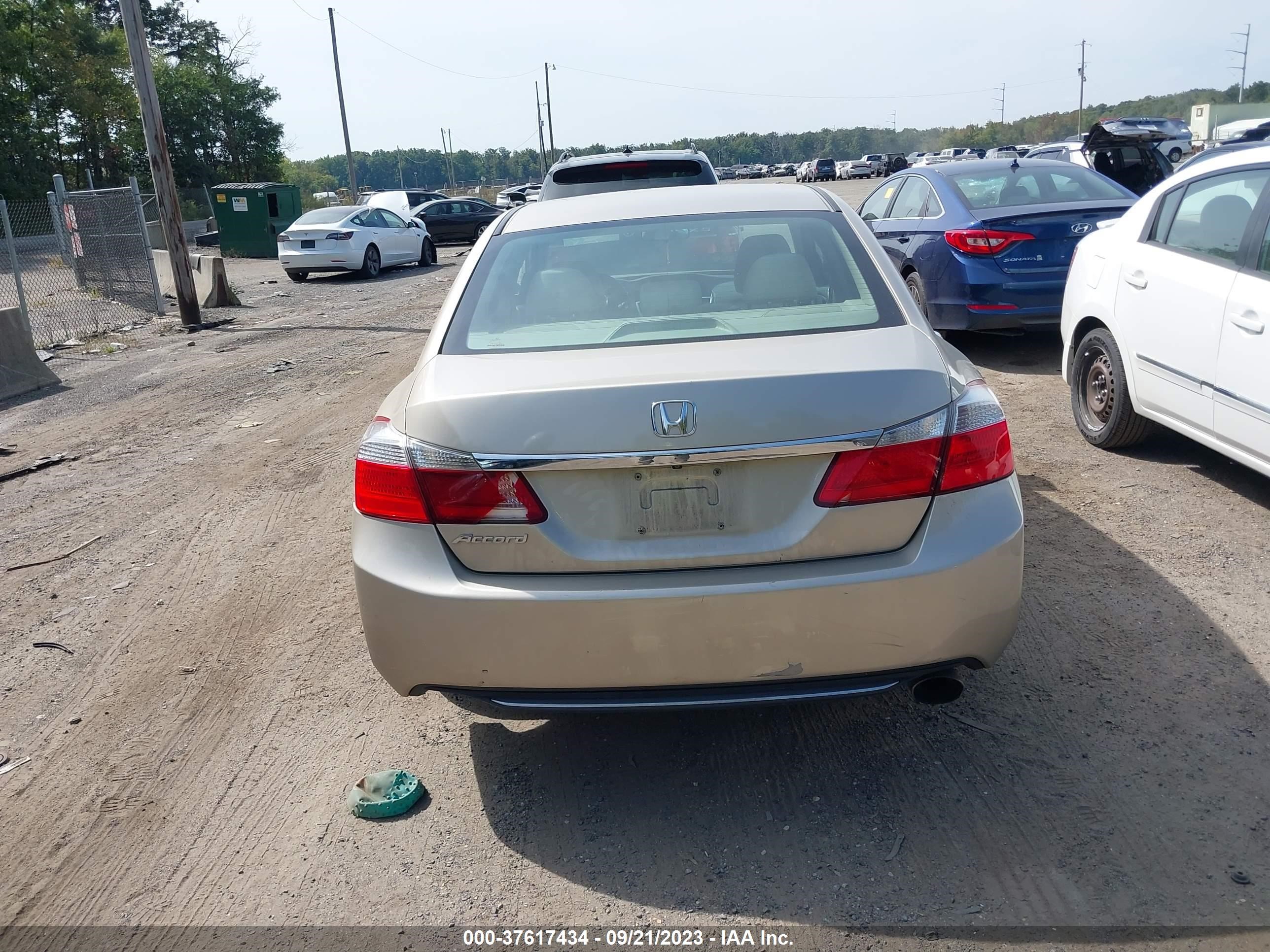 Photo 15 VIN: 1HGCR2F31FA240808 - HONDA ACCORD 