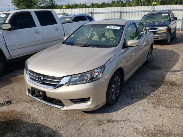 Photo 1 VIN: 1HGCR2F32DA175299 - HONDA ACCORD LX 