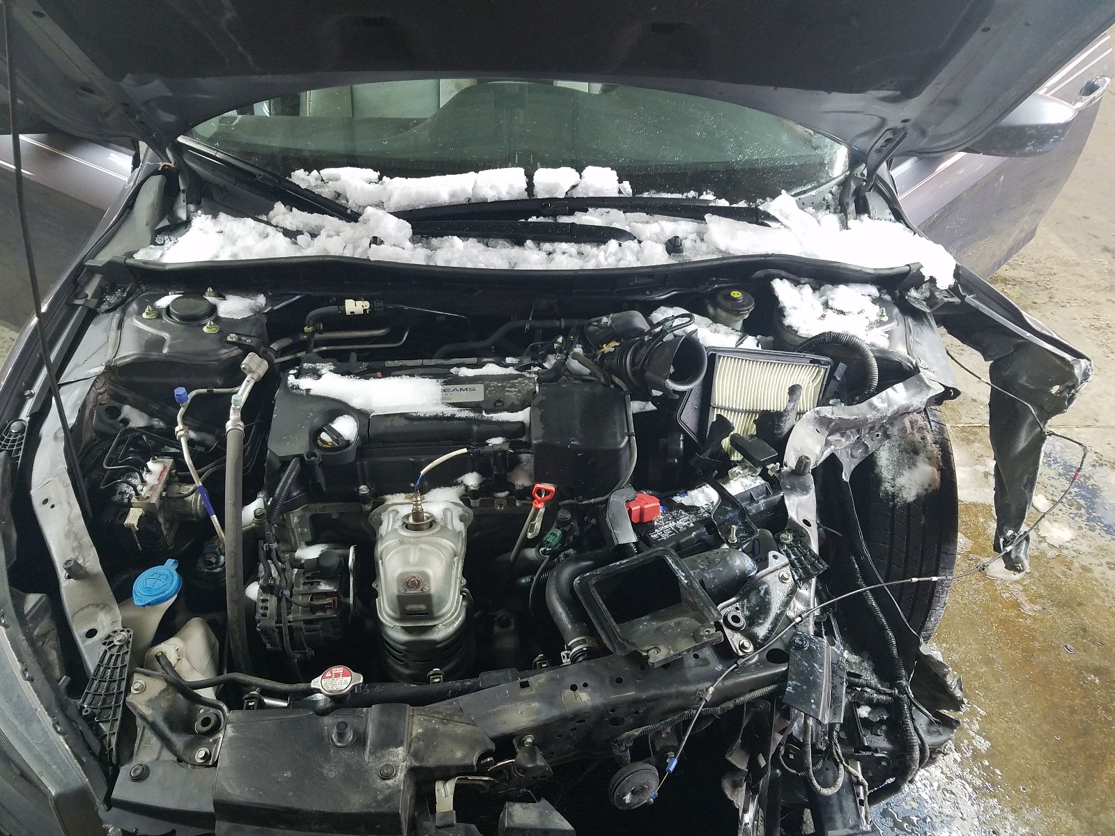 Photo 6 VIN: 1HGCR2F32EA011505 - HONDA ACCORD LX 