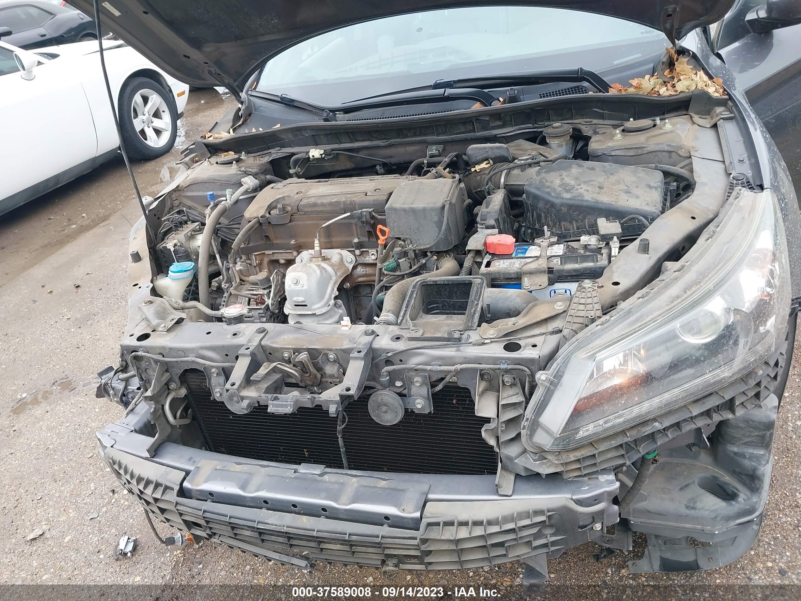 Photo 9 VIN: 1HGCR2F32EA231436 - HONDA ACCORD 