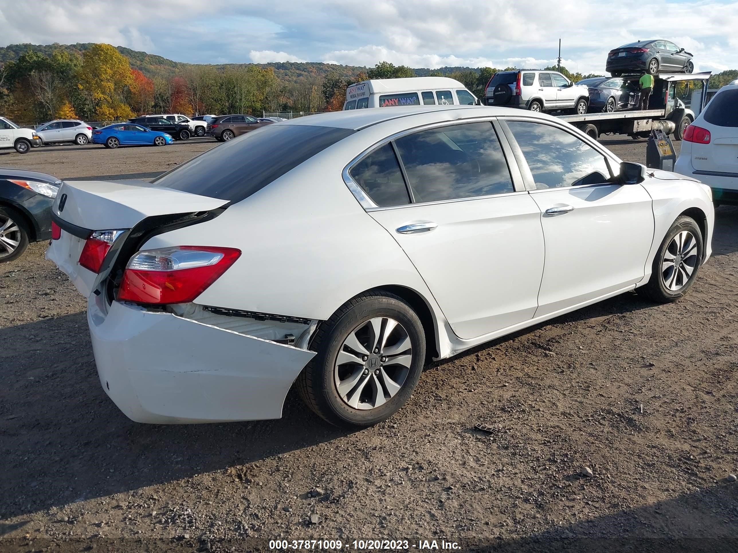 Photo 3 VIN: 1HGCR2F33DA103012 - HONDA ACCORD 