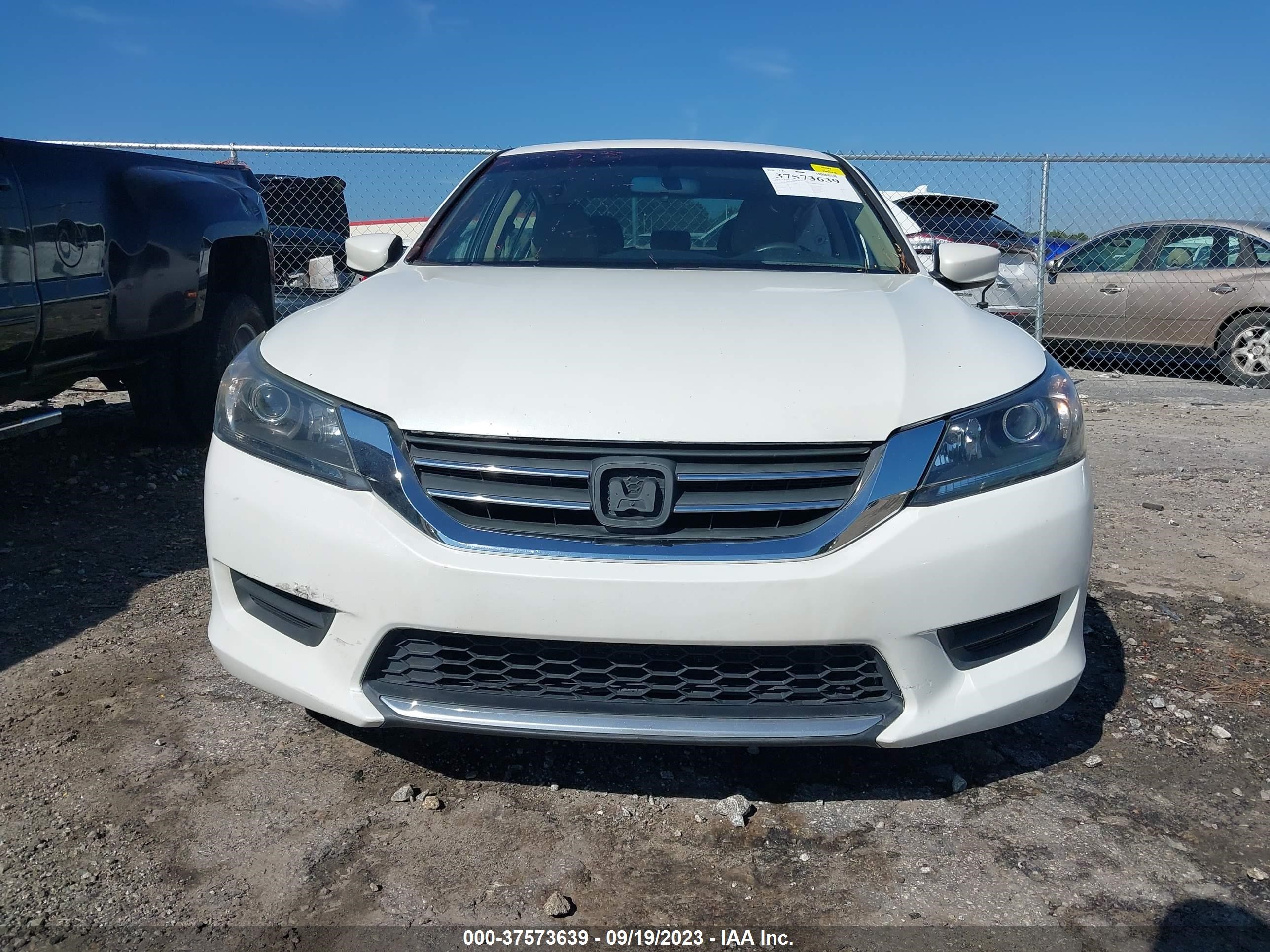 Photo 11 VIN: 1HGCR2F33EA044528 - HONDA ACCORD 