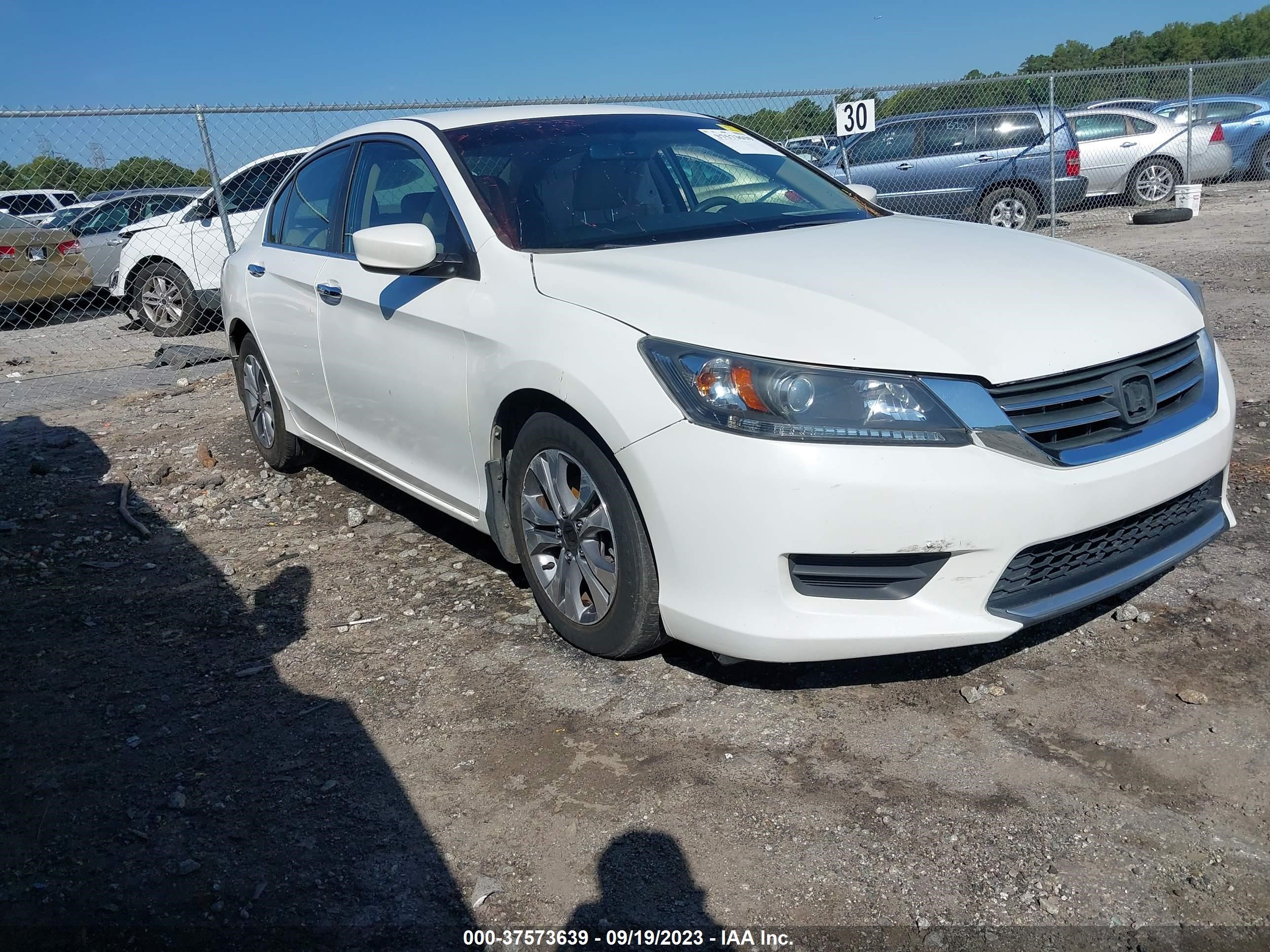 Photo 12 VIN: 1HGCR2F33EA044528 - HONDA ACCORD 