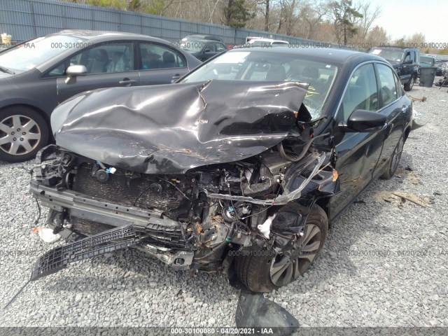 Photo 5 VIN: 1HGCR2F33EA242042 - HONDA ACCORD SEDAN 