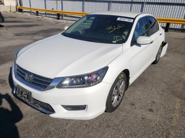 Photo 1 VIN: 1HGCR2F33EA267894 - HONDA ACCORD SEDAN 