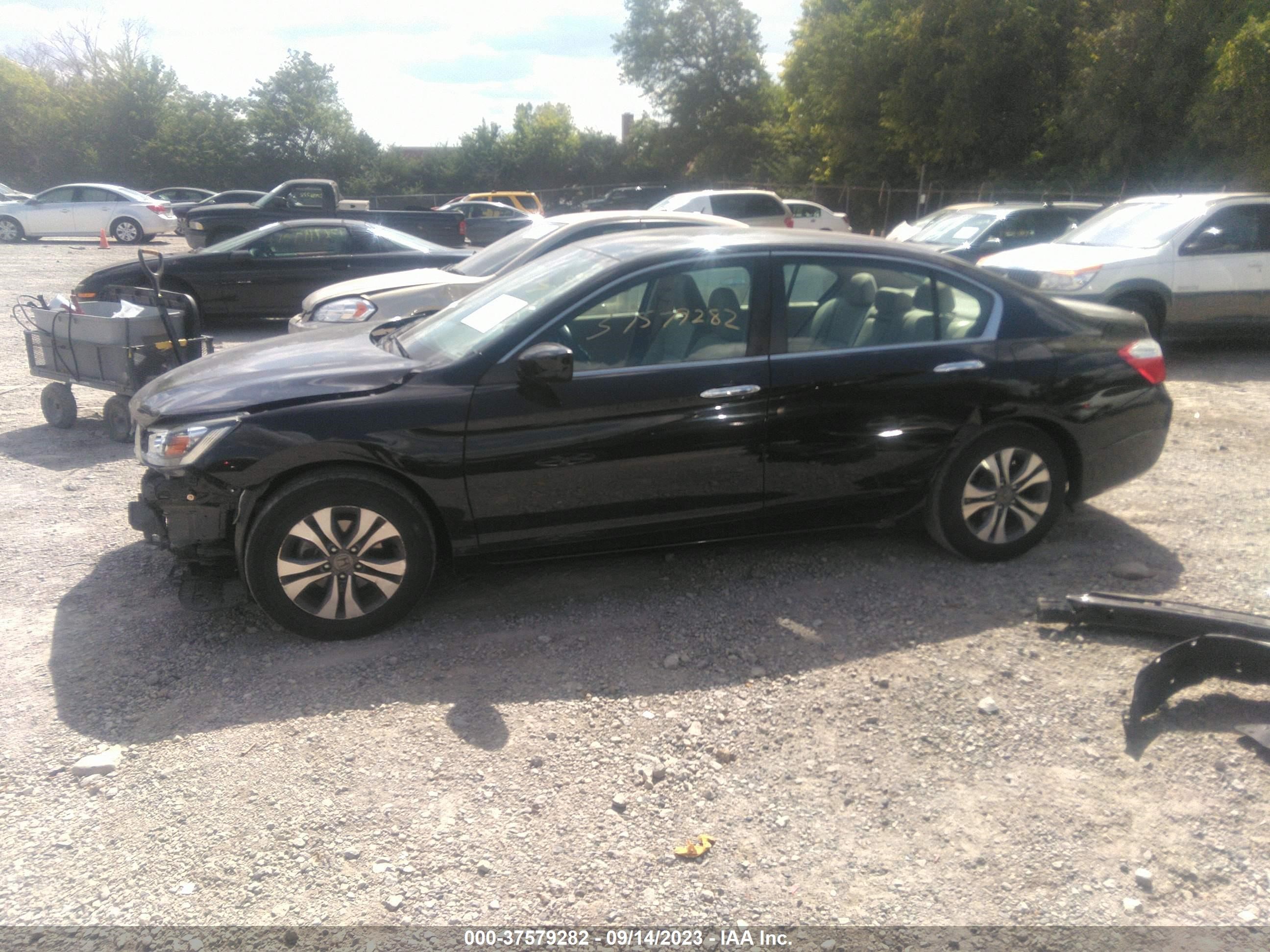 Photo 14 VIN: 1HGCR2F33FA214937 - HONDA ACCORD 