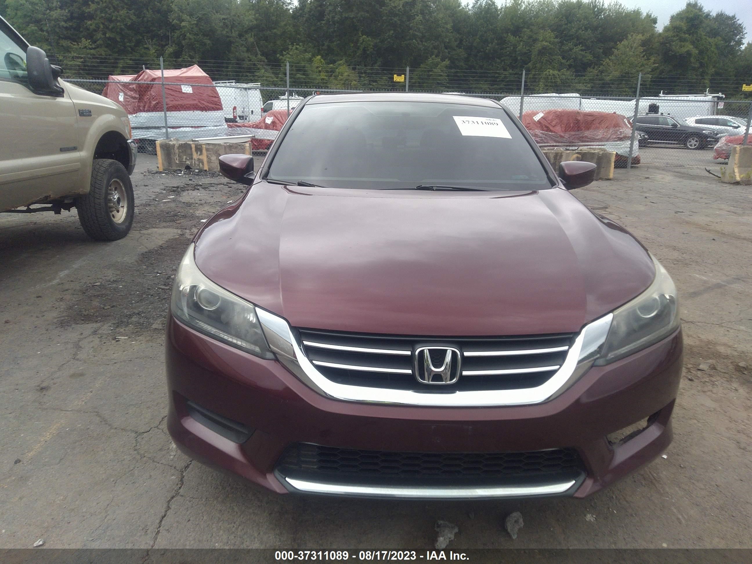 Photo 11 VIN: 1HGCR2F34FA153145 - HONDA ACCORD 