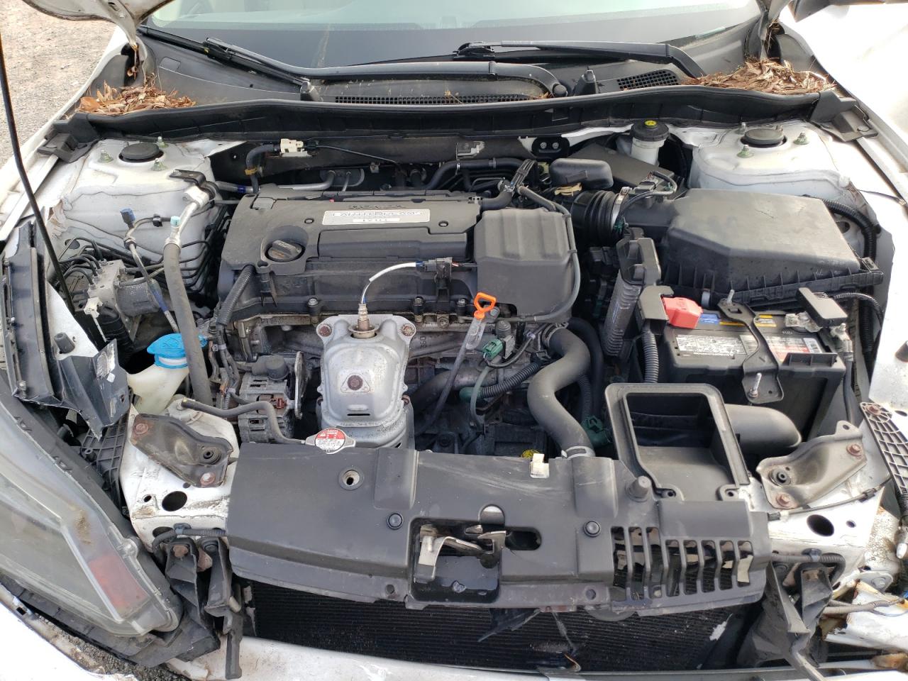 Photo 10 VIN: 1HGCR2F34FA244383 - HONDA ACCORD 