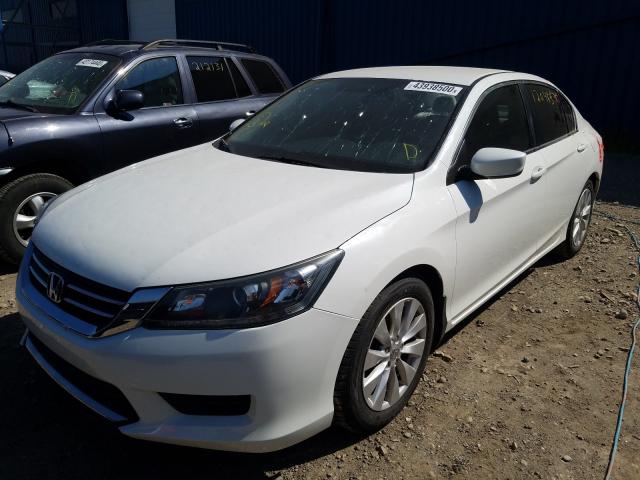 Photo 1 VIN: 1HGCR2F35DA803372 - HONDA ACCORD LX 