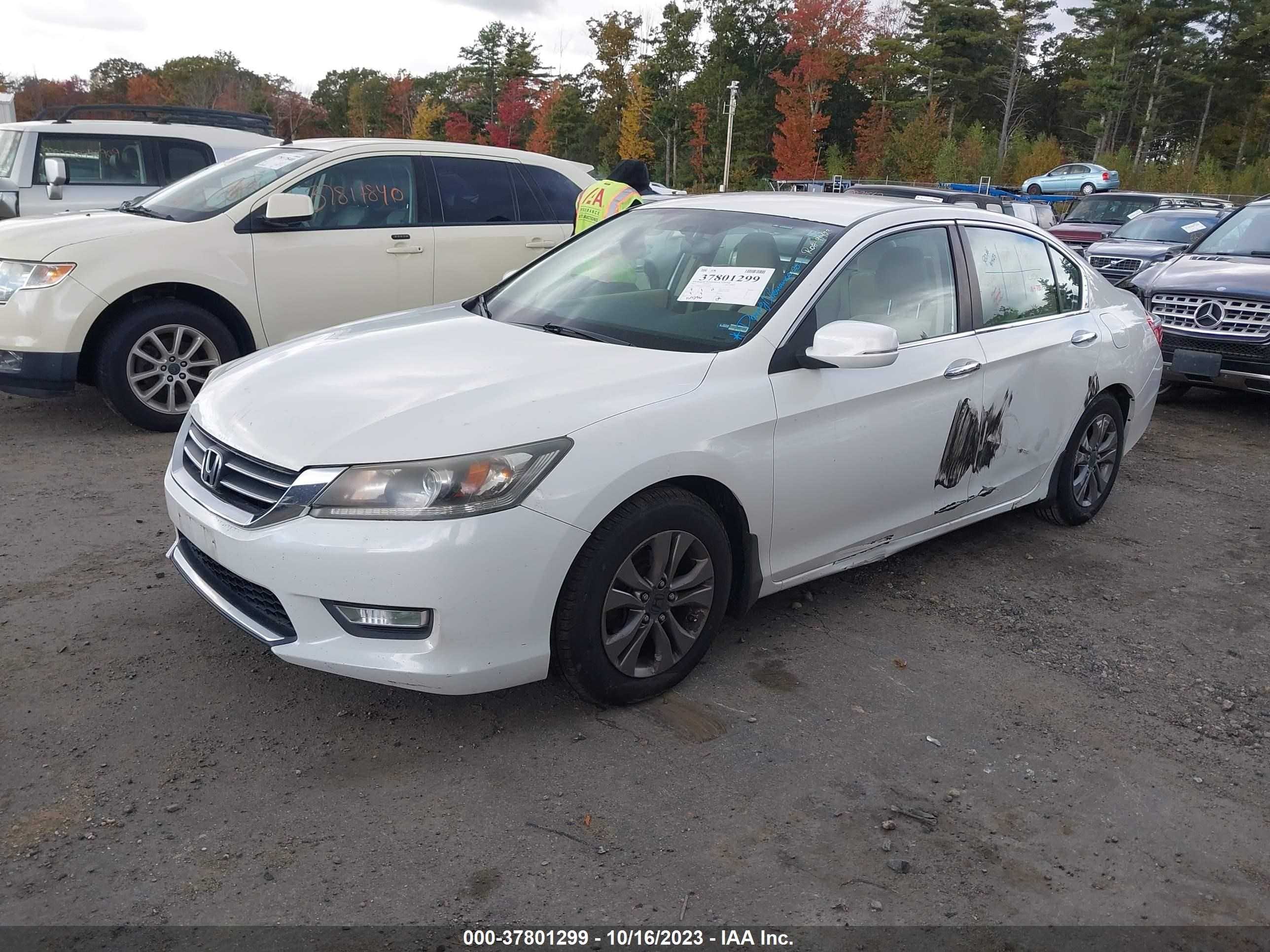 Photo 1 VIN: 1HGCR2F36DA041881 - HONDA ACCORD 