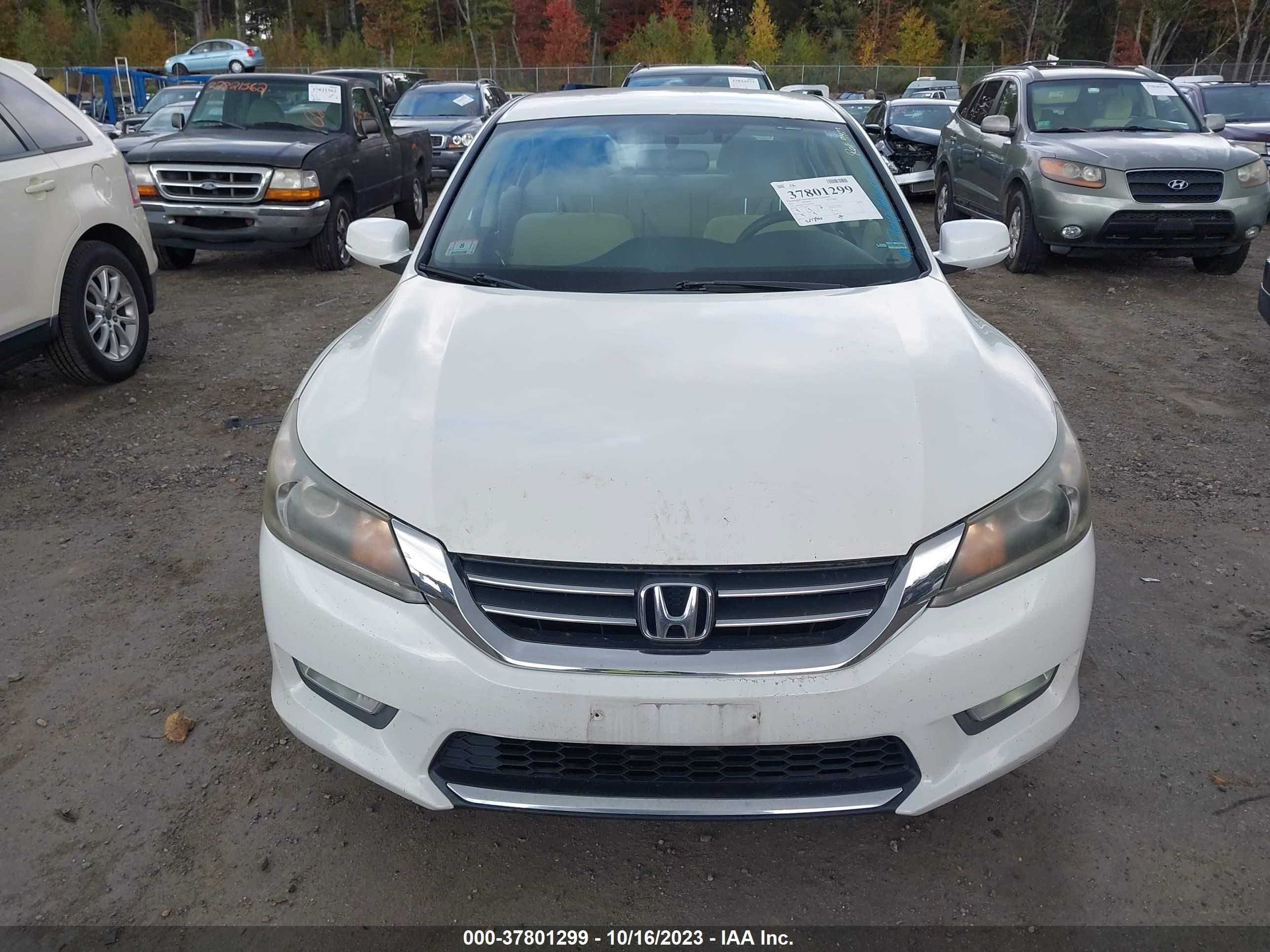 Photo 11 VIN: 1HGCR2F36DA041881 - HONDA ACCORD 