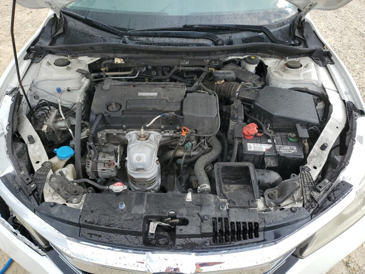 Photo 10 VIN: 1HGCR2F36GA145081 - HONDA ACCORD 