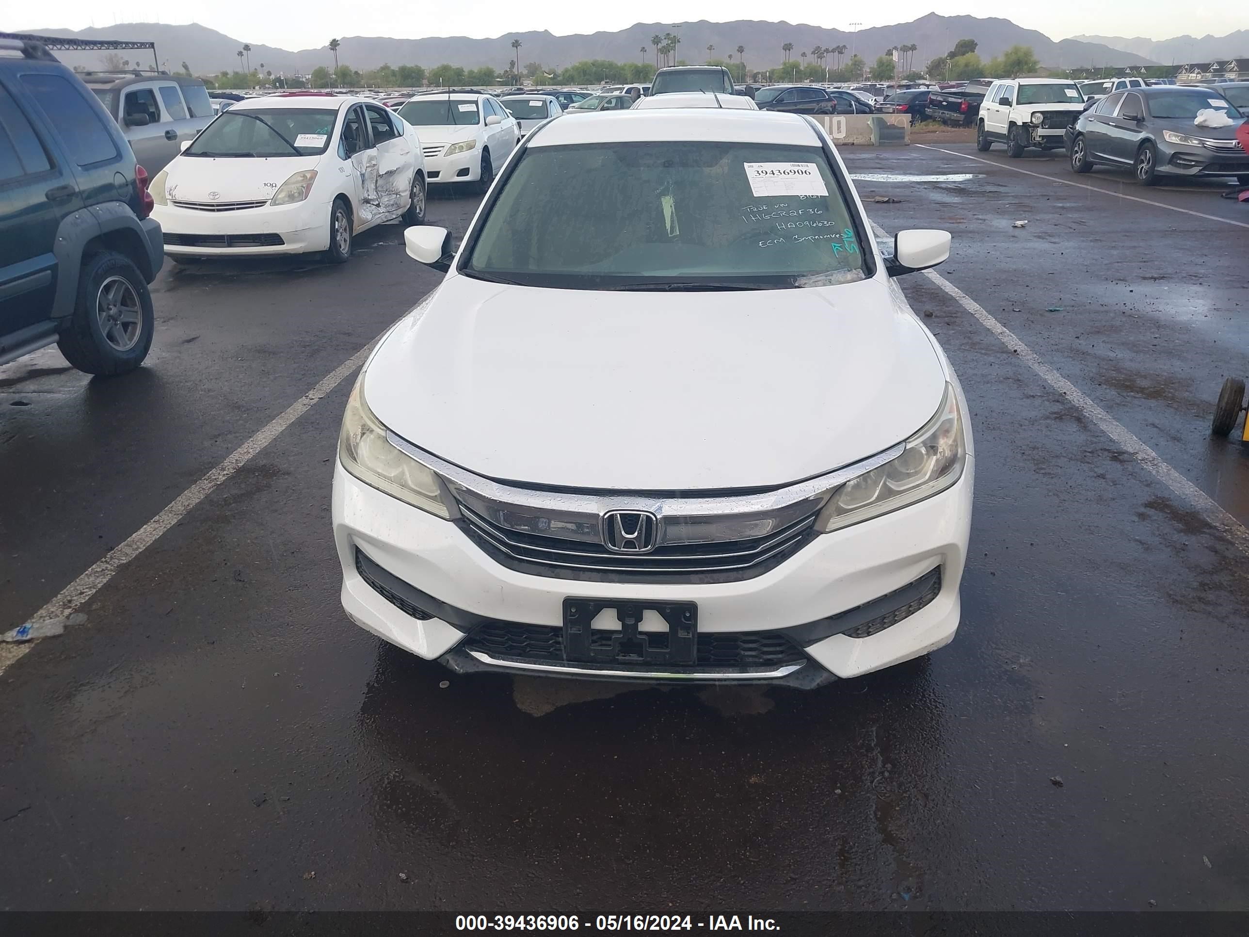 Photo 11 VIN: 1HGCR2F36HA096630 - HONDA ACCORD 