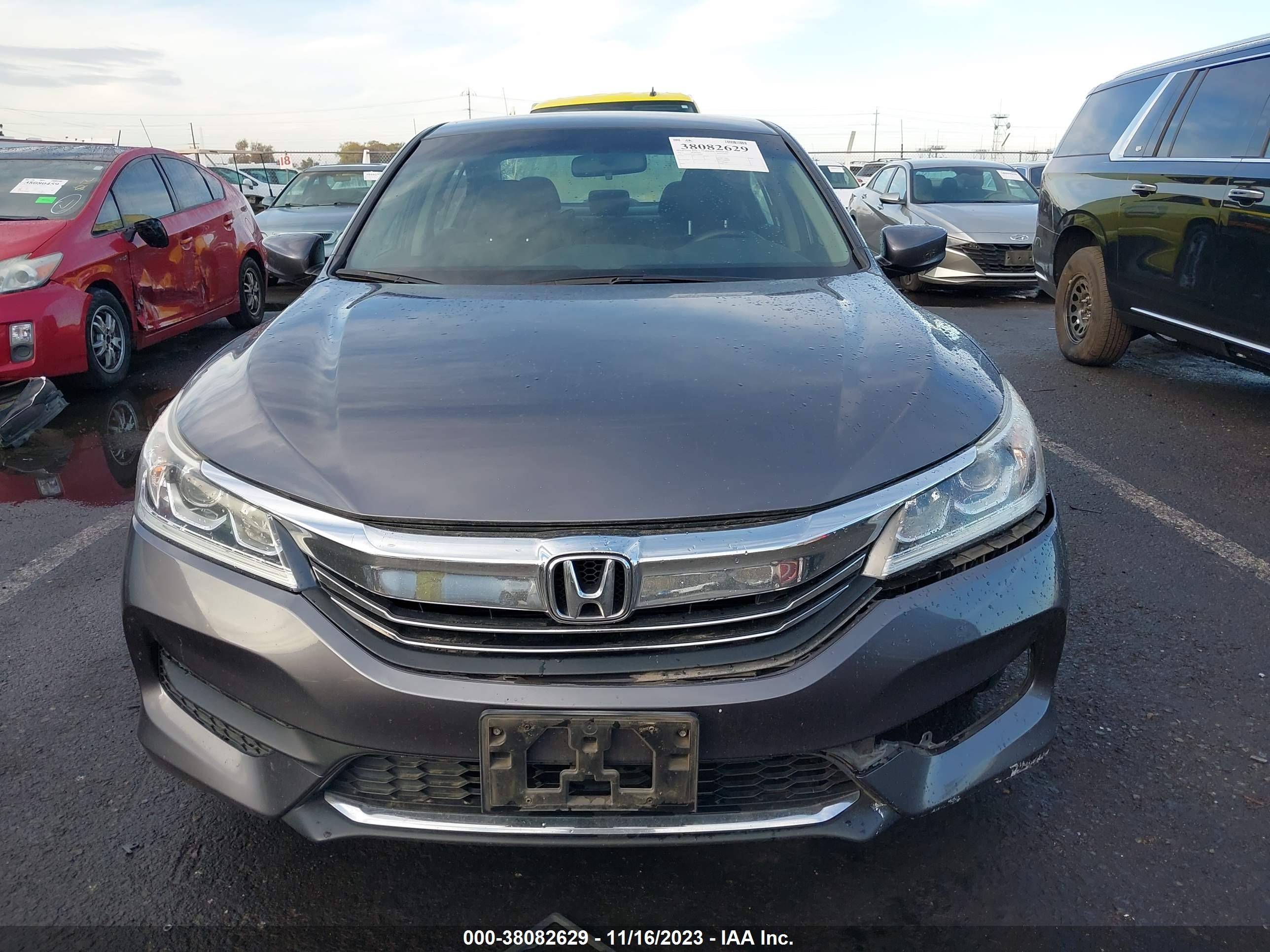 Photo 11 VIN: 1HGCR2F36HA165459 - HONDA ACCORD 