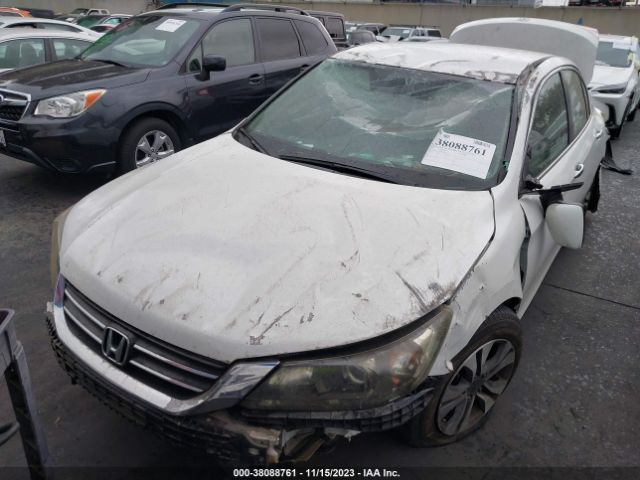 Photo 5 VIN: 1HGCR2F38DA058763 - HONDA ACCORD 