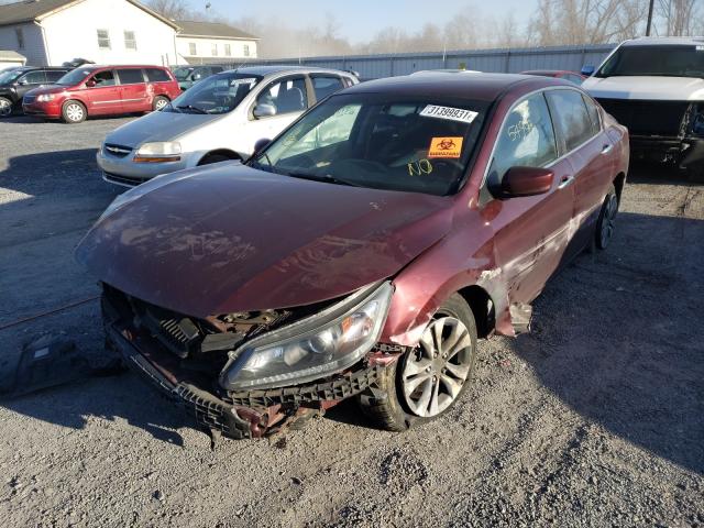 Photo 1 VIN: 1HGCR2F38DA173704 - HONDA ACCORD LX 